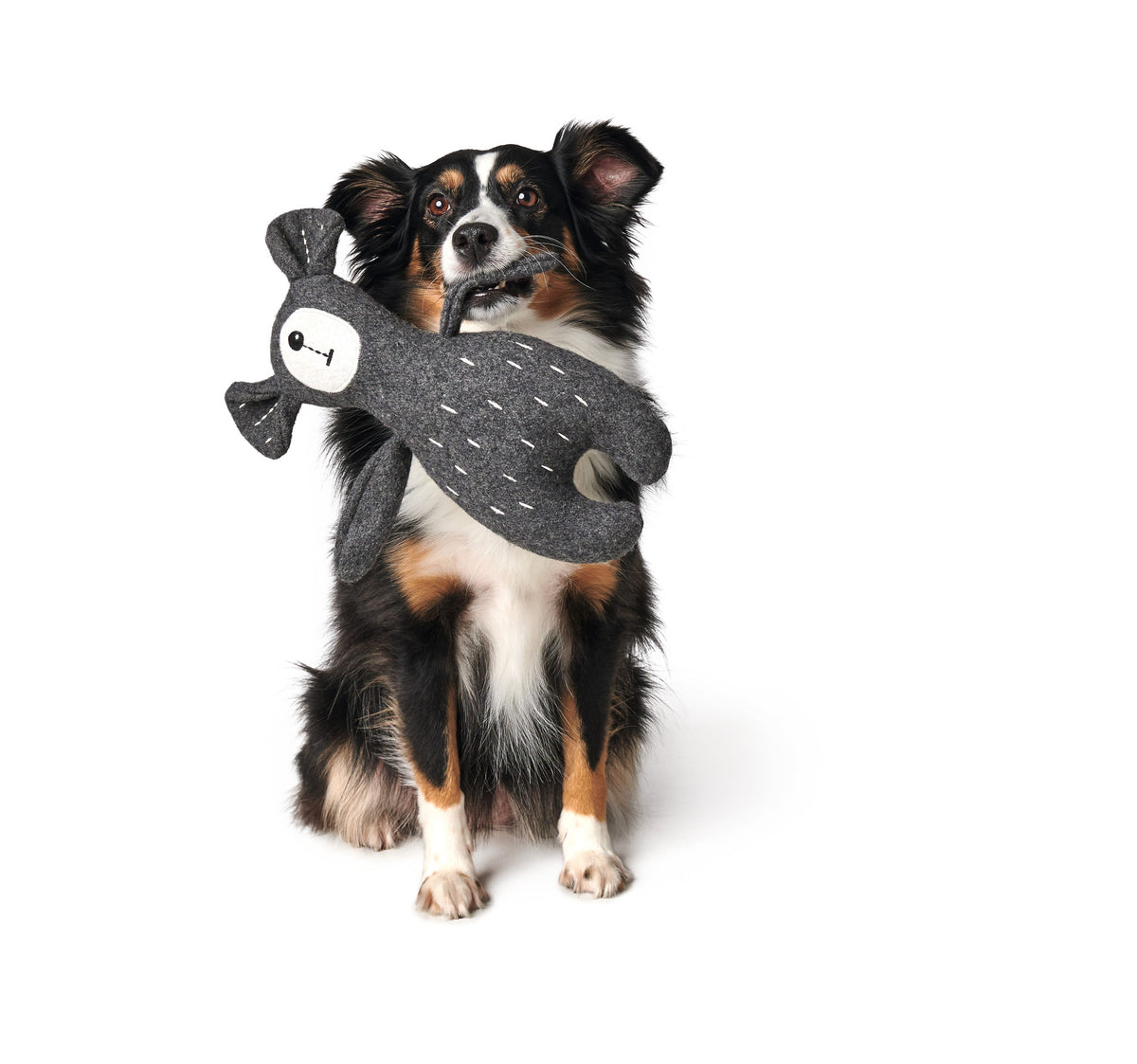 Dog toy Tirana Bear Hunter Pet Shop