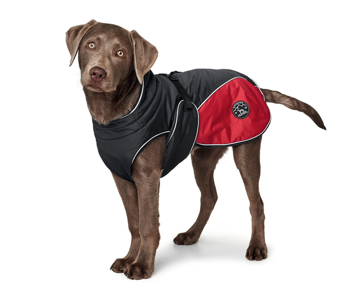 Dog Coat Uppsala Cozy Red Hunter Pet Shop