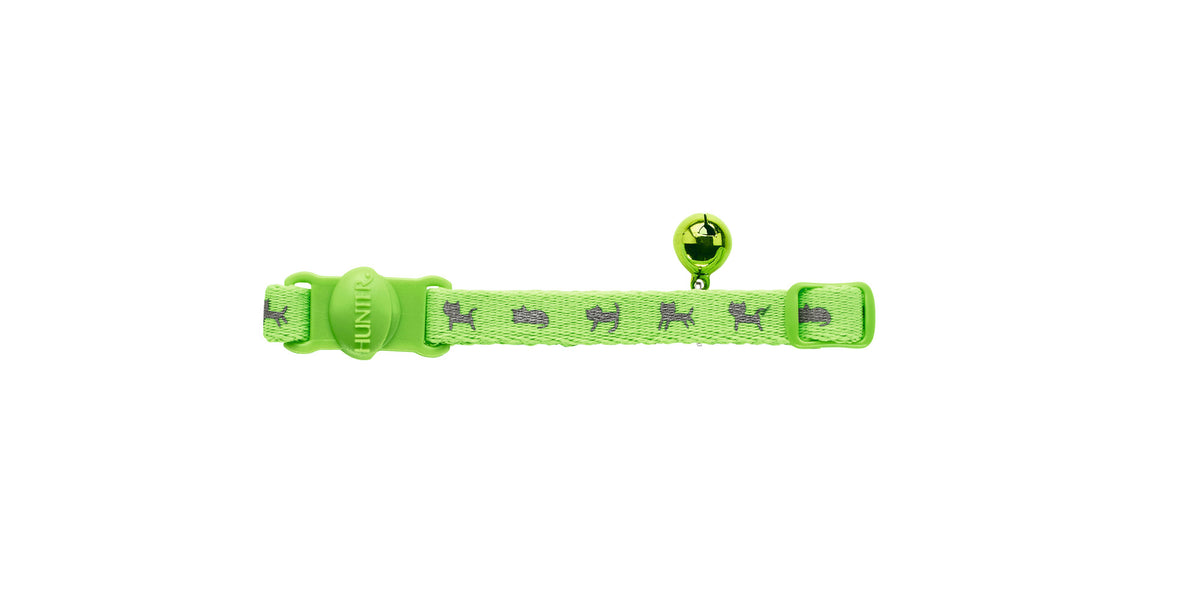 Neon cat on sale collar