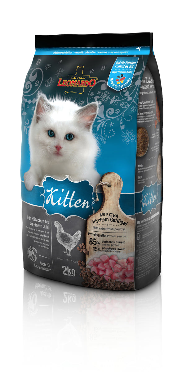 Fresh kitten on sale