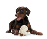 Dog toy Snugly Sheep