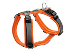 Harness Maldon