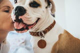  Dog Training Leash For Dog Training  Solid Education - Hunter Pet Shop