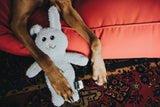 Dog toy Terni Rabbit