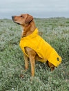 Rain coat for dogs Milford