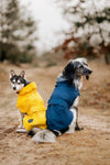 Rain coat for dogs Milford