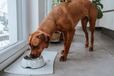 Food bowl base Selection