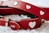 Hunter Dog Training Leash Love Heart On It For Dog Education - Hunter Pet Shop