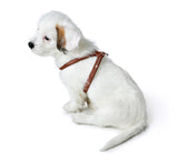 Dog Harness Round & Soft Canadian Up