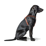 Dog Harness Round & Soft Canadian Up