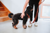 Dog Training leash Round & Soft Canadian Up