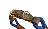 Brown leather dog collar with gold buckle and blue rope on a white background