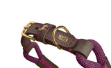 Dog Collar Malia
