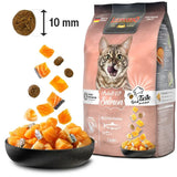 LEONARDO Adult Grain Free Salmon cat food