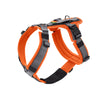 Safety harness Maldon