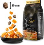 Cat food package with salmon flavor and a bowl of cat treats on a white background