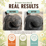 Dog Snout Soother Nose balm Stick