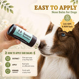 Dog Snout Soother Nose balm Stick