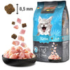 LEONARDO Kitten Food  Baby Cat