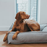 Quit Hunter Grey Bed for a Dog - Hunter Pet Shop