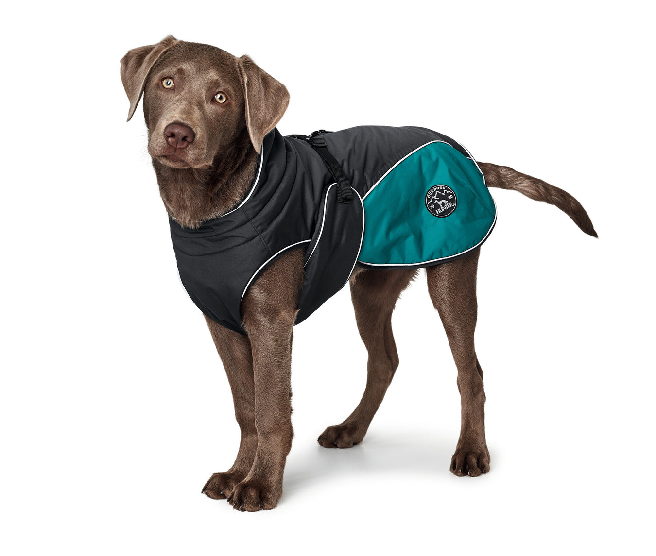 Dog Coats Hunter Pet Shop