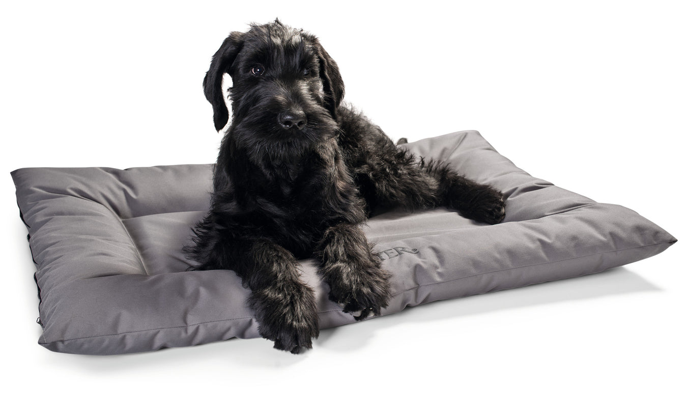 Dog Beds Hunter Pet Shop