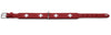 Dog Collar Swiss