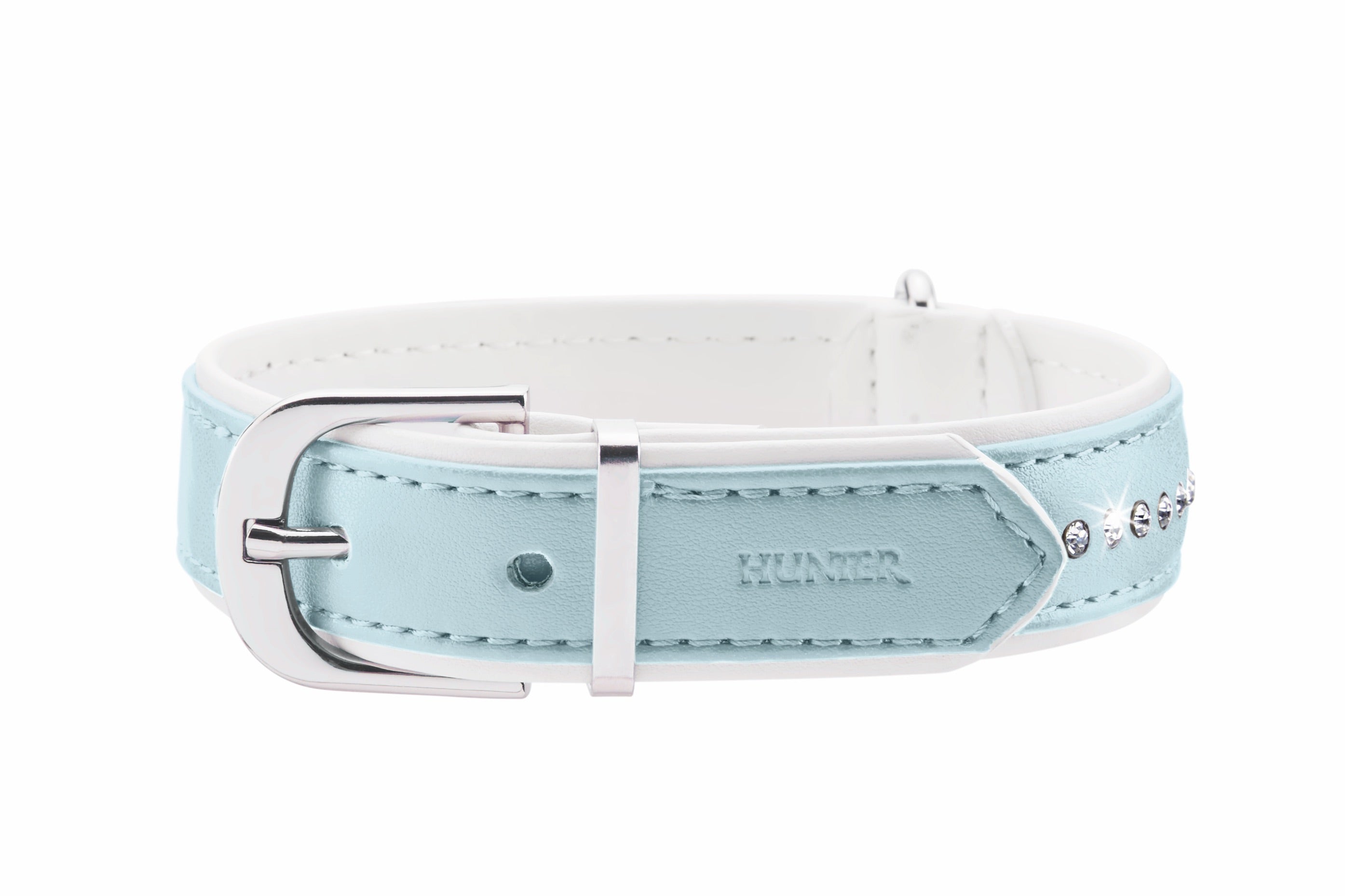 Modern dog collars shop
