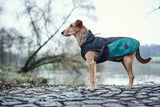 Dog Coat Uppsala Cozy Teal