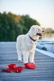 Dog Silicone Travel bowl List