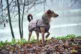 Dog Coat Uppsala