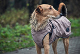 Dog Coat Uppsala