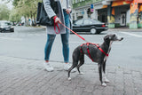Dog Escape-proof harness Vario Rapid