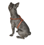 Dog Harness Round & Soft Petit Elk Luxus