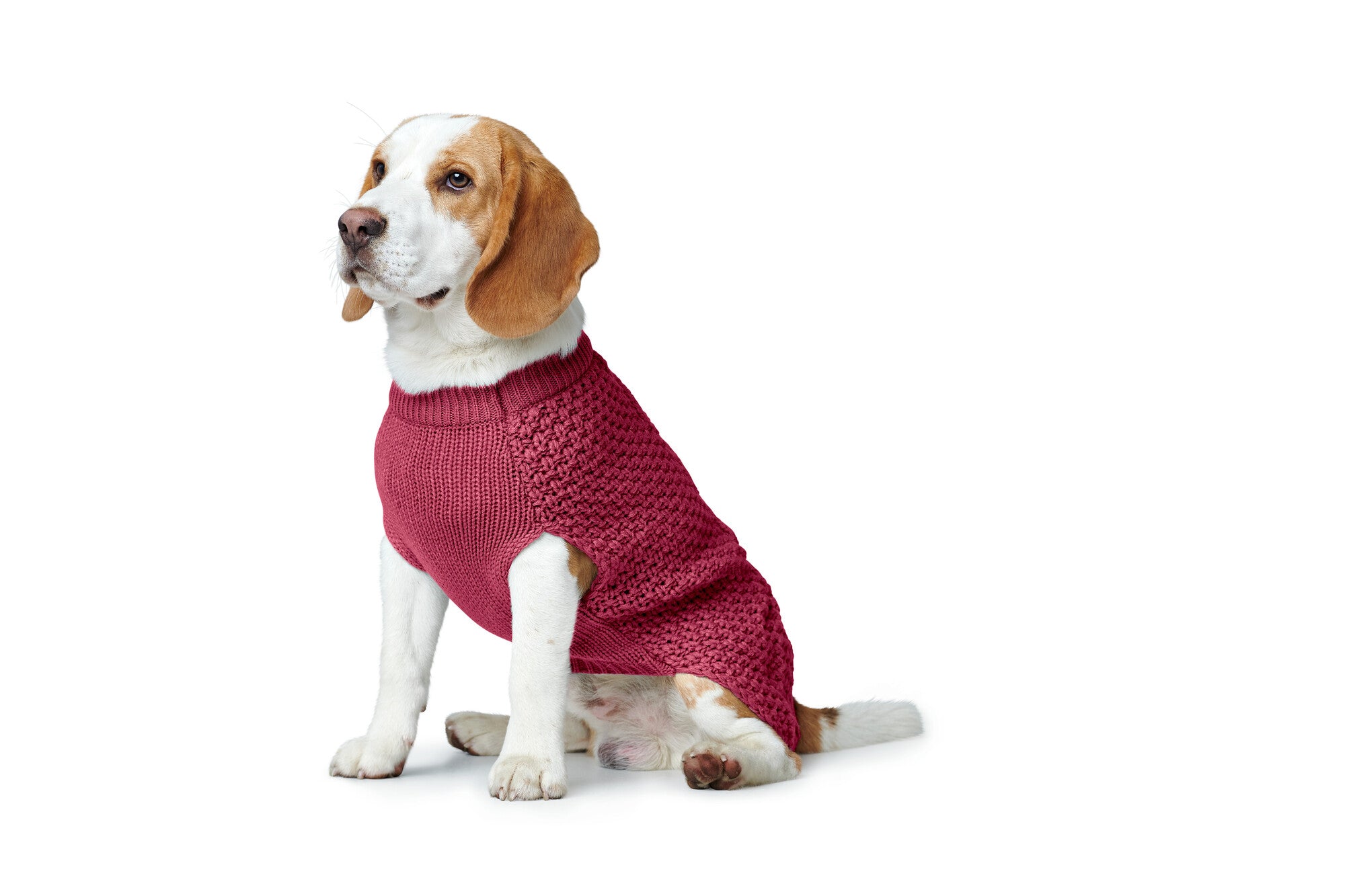Dog Pullover Malmo 50 bordeaux