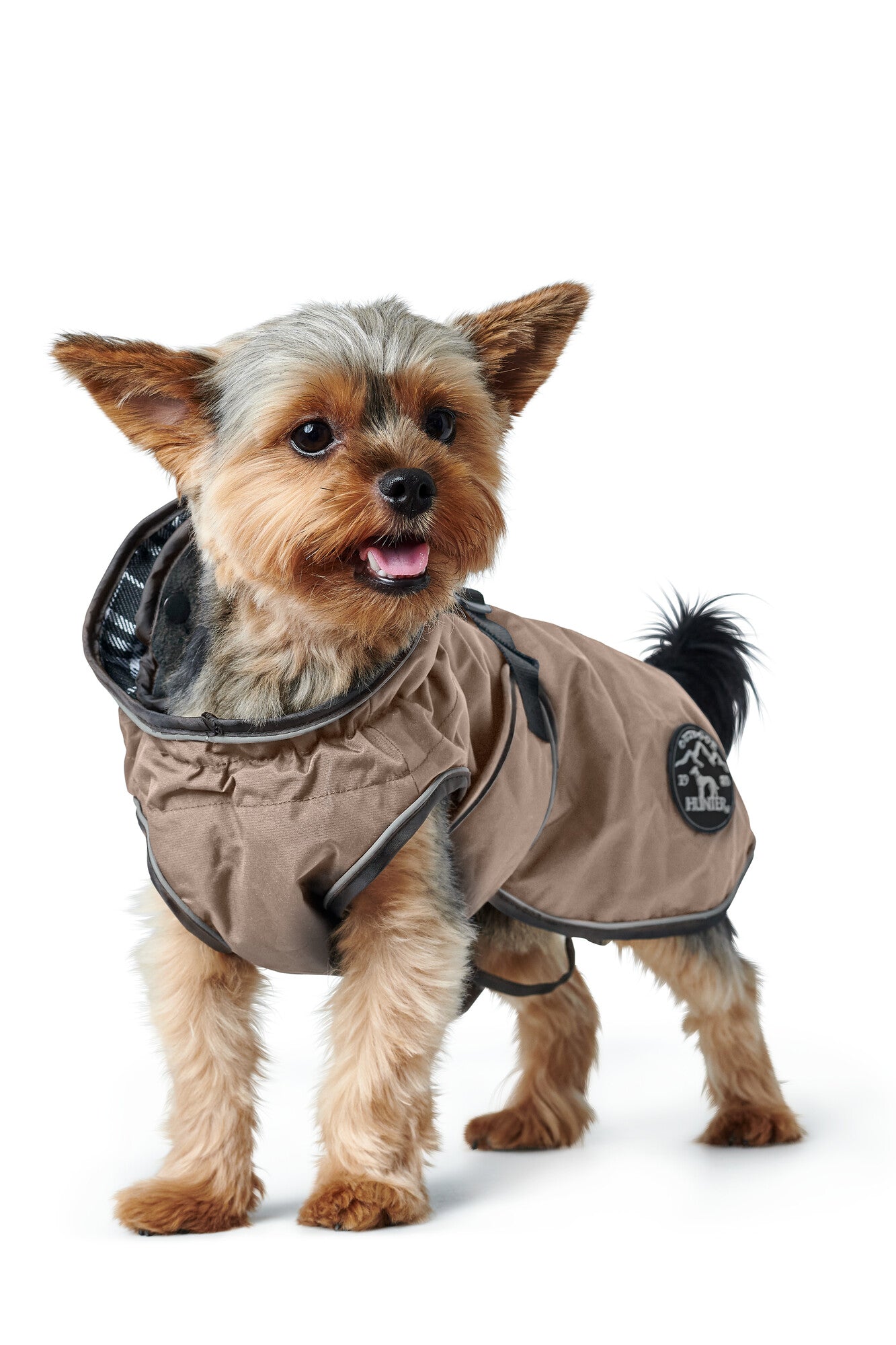 Hunter dog coats clearance