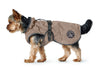 Dog Coat Uppsala