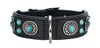 Dog Collar Sioux