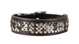 Dog Collar Arizona