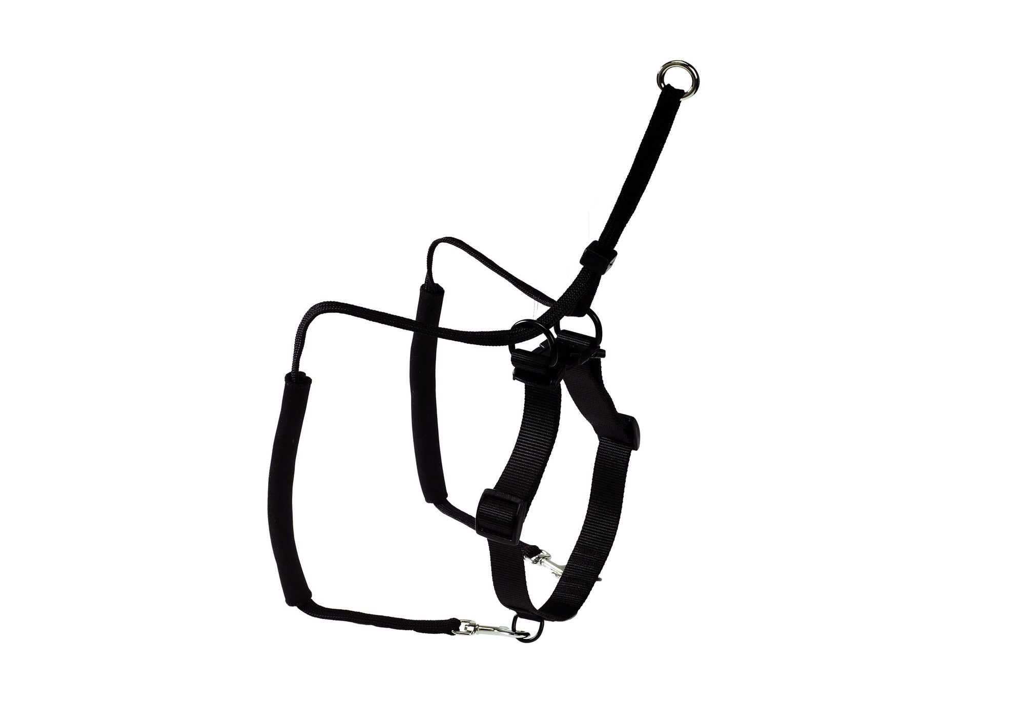 Dog training harness clearance