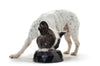 Dog Melamine feeding bowl Kimberley