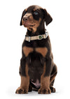 Dog Collar Vario Basic ALU Strong