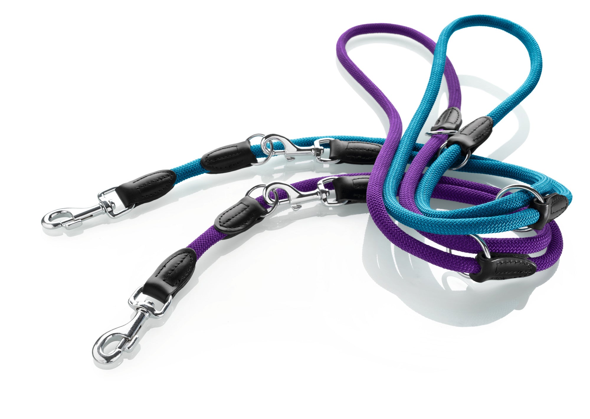 Dog Training Leash Freestyle 10 200 teal