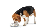 Dog Melamine feeding bowl Mogami