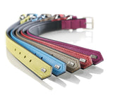 Dog Collar Capri