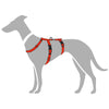 Dog Escape-proof harness Vario Rapid